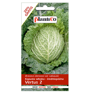 Kapusta włoska późna VERTUS 2 nasiona 2,4g