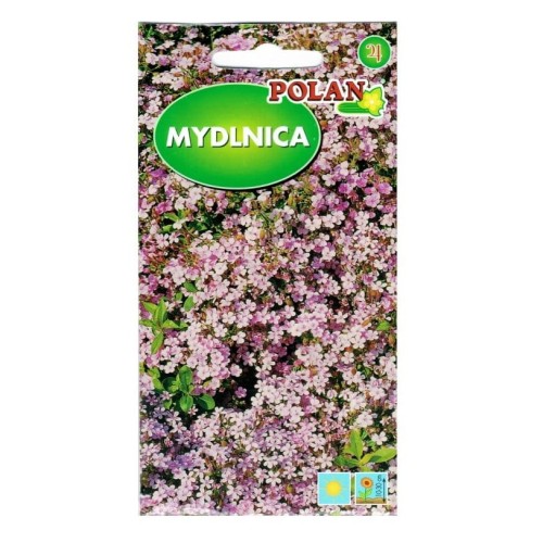 MYDLNICA Bazyliowata różowa nasiona kwiatów 1g