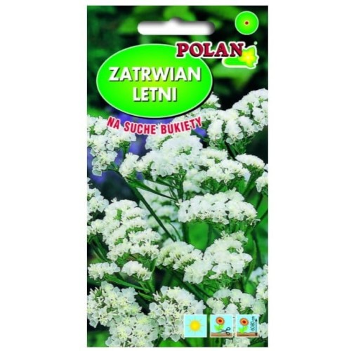 ZATRWIAN WRĘBNY LETNI BIAŁY nasiona kwiatów 0,5g