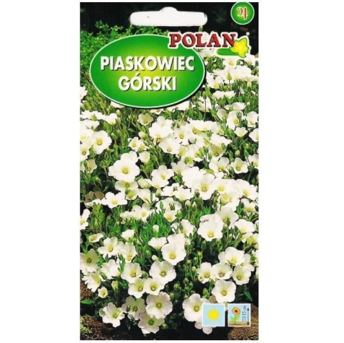 PIASKOWIEC GÓRSKI BIAŁY nasiona kwiatów Polan 0,1g