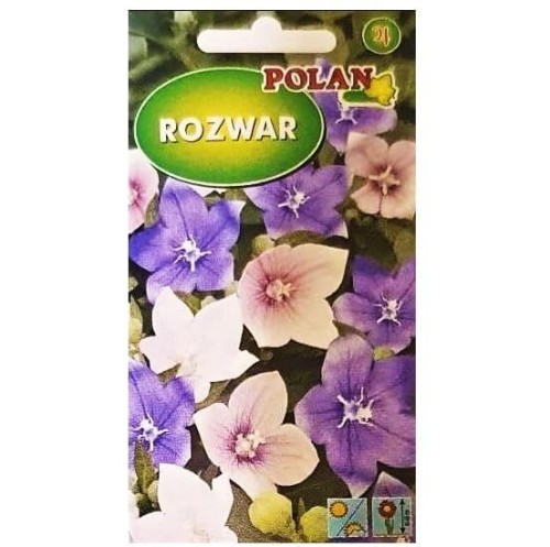 ROZWAR wielkokwiatowy Platycodon MIX nasiona 0,2g