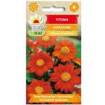 TITONIA CYNOBROWA nasiona Toraf 1g - Słonecznik meksykański, Tithonia