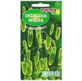 Trawa ozdobna DRŻĄCZKA WIELKA Większa nasiona 1g