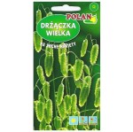 Trawa ozdobna DRŻĄCZKA WIELKA Większa nasiona 1g