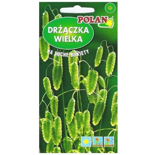 Trawa ozdobna DRŻĄCZKA WIELKA Większa nasiona 1g