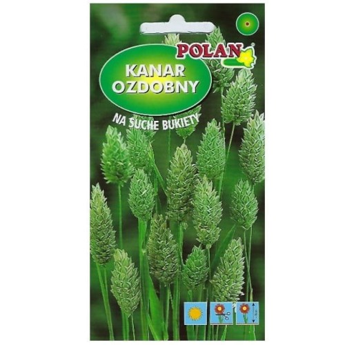 Trawa ozdobna kanarkowa KANAR OZDOBNY nasiona 2g