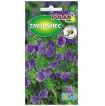 ŻMIJOWIEC babkowaty Echium MIX nasiona kwiatów 1g