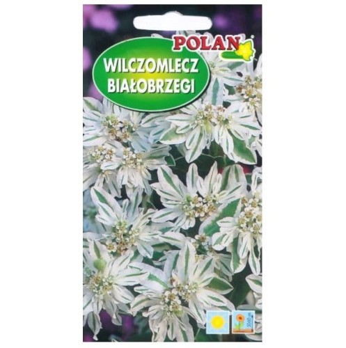 WILCZOMLECZ BIAŁOBRZEGI Euphorbia nasiona Polan 1g
