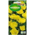 WIESIOŁEK MISSURYJSKI - bylina ozdobna, żółte kwiaty - nasiona Polan 0,3g