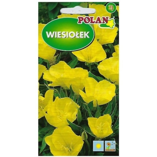 WIESIOŁEK ozdobny missuryjski nasiona kwiatów 0.3g