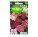 Dzierotka Klarkia mieszanka kolorów - nasiona Polan 2g - pachnące kwiaty