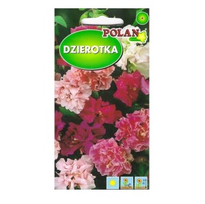Dzierotka Klarkia mieszanka kolorów - nasiona Polan 2g - pachnące kwiaty