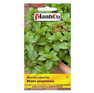MIĘTA PIEPRZOWA lekarska - Mentha piperita - nasiona ziół PlantiCo 0,1g