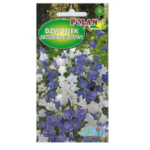 Dzwonek brzoskwiniolistny mix kolorów, pachnąca bylina - nasiona Polan 0,5g