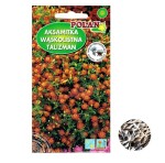 AKSAMITKA WĄSKOLISTNA MAHONIOWA nasiona 0,5g