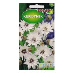 Kupidynek biały - bylina na suche bukiety - nasiona Polan 0,1g