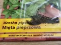 MIĘTA PIEPRZOWA nasiona ziół i przypraw 0,1g