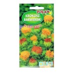 KROKOSZ BARWIERSKI na suche bukiety nasiona 1g