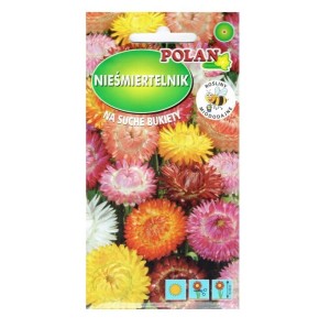 NIEŚMIERTELNIK KOCANKA MIX nasiona Polan 2g - na suche bukiety, Helichrysum