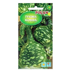 TYKWA pospolita KOBRA - dynia ozdobna - nasiona marki PlantiCo 1g