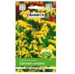 ZATRWIAN WRĘBNY Letni ŻÓŁTY nasiona kwiatów 0,2g