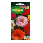 PORTULAKA Wielkokwiatowa MIX kolorów nasiona 0,5g