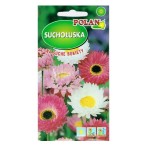 SUCHOŁUSKA Suchlin różowy MIX kolorów nasiona 2g