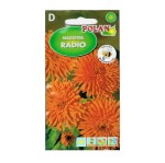 NAGIETEK pełny wysoki pomarańczowy RADIO - nasiona Polan 3g