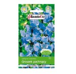GROSZEK pachnący NIEBIESKI nasiona kwiatów 2g