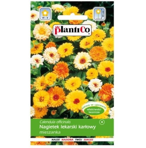 NAGIETEK lekarski KARŁOWY MIX kolorów nasiona 2g