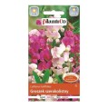 GROSZEK szerokolistny MIESZANKA nasiona kwiatów 2g