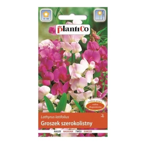 GROSZEK szerokolistny MIESZANKA nasiona kwiatów 2g