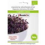 KAPUSTA CZERWONA nasiona na KIEŁKI EKOLOGICZNE 10g