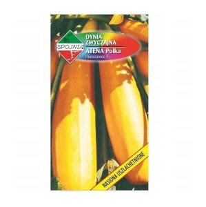 Cukinia ATENA POLKA - pomarańczowa, dynia zwyczajna - nasiona Spójnia 2g