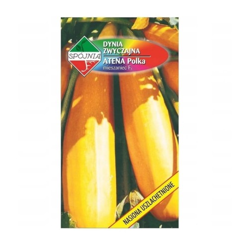 CUKINIA pomarańczowa dynia ATENA POLKA nasiona 2g
