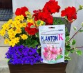 PLANTON K nawóz do pelargonii, kwiatów, bylin 200g