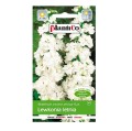 LEWKONIA letnia BIAŁA Opal nasiona kwiatów 0,5g