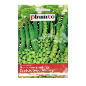 Groch łuskowy SZEŚCIOTYGODNIOWY nasiona 40g
