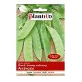 Groch siewny cukrowy AMBROSIA nasiona 40g