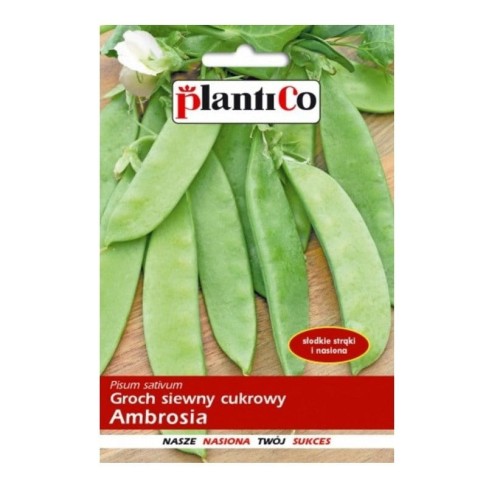 Groch siewny cukrowy AMBROSIA nasiona 40g