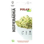 Kozieradka - nasiona na kiełki 5g - do domowej uprawy w kiełkownicy