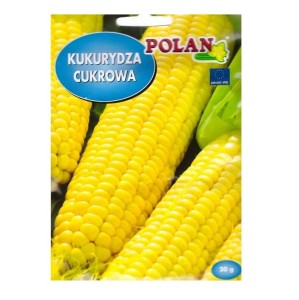 KUKURYDZA Cukrowa ZŁOTA KARŁOWA nasiona 20g