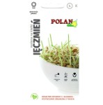 JĘCZMIEŃ zdrowe nasiona na KIEŁKI Polan 20g