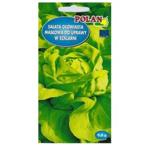 Sałata masłowa szklarniowa ATENA - bardzo wczesna - nasiona Polan 0,5g