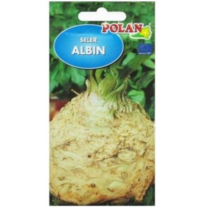 SELER korzeniowy duży ALBIN nasiona Polan 0,5g