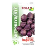 Kapusta brukselska RED - czerwona brukselka - nasiona Plantico 0,3g