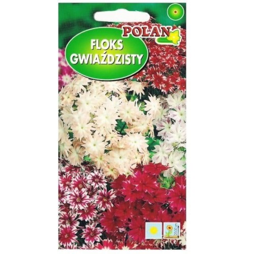 FLOKS GWIAŹDZISTY drummonda MIX nasiona Polan 0,5g