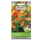 NASTURCJA KARŁOWA Tom Thumb MIX kolorów nasiona 5g