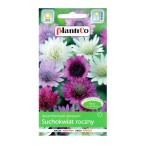 SUCHOKWIAT roczny nieśmiertelnik MIX nasiona 1g