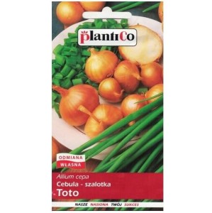 Cebula szalotka Toto - małe spłaszczone cebulki - nasiona Plantico 1g
